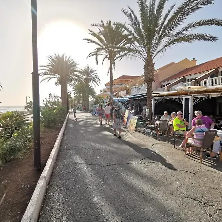 Home2book Cardon Sunny Design Cristianos Arona