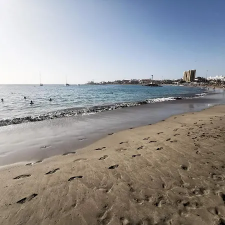 Home2book Cardon Sunny Design Cristianos