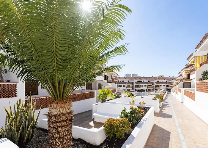 Home2book Cardon Sunny Design Cristianos * Arona (Tenerife)